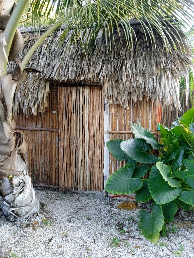 Muelle36 Hostel Bacalar Eksteriør bilde