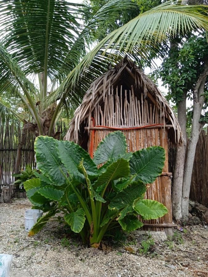 Muelle36 Hostel Bacalar Eksteriør bilde