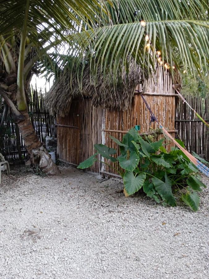 Muelle36 Hostel Bacalar Eksteriør bilde