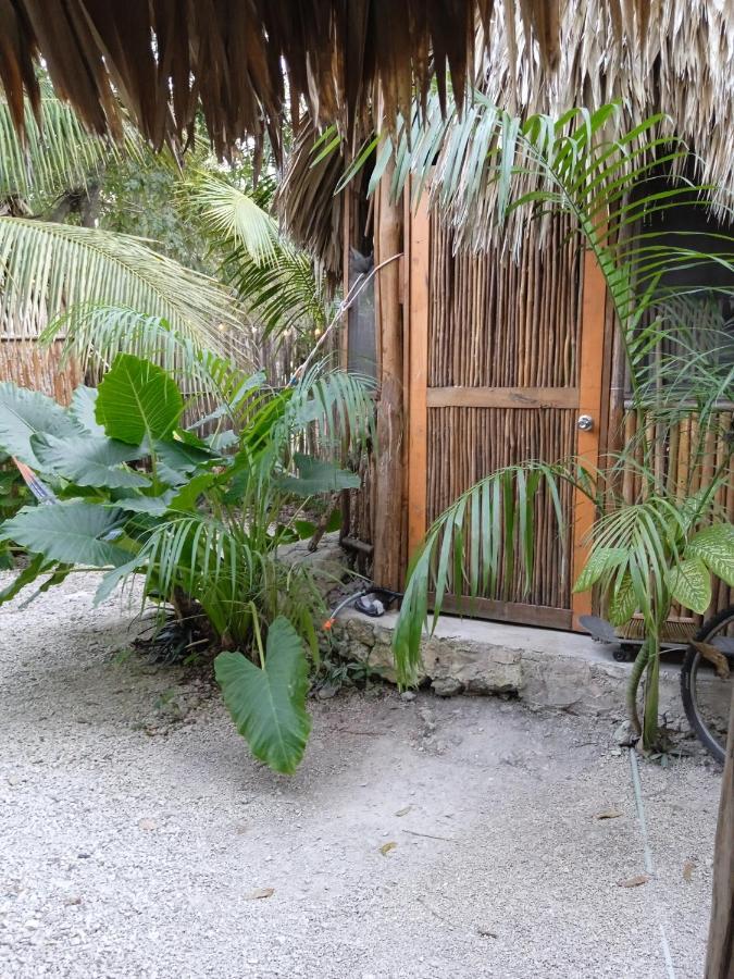 Muelle36 Hostel Bacalar Eksteriør bilde