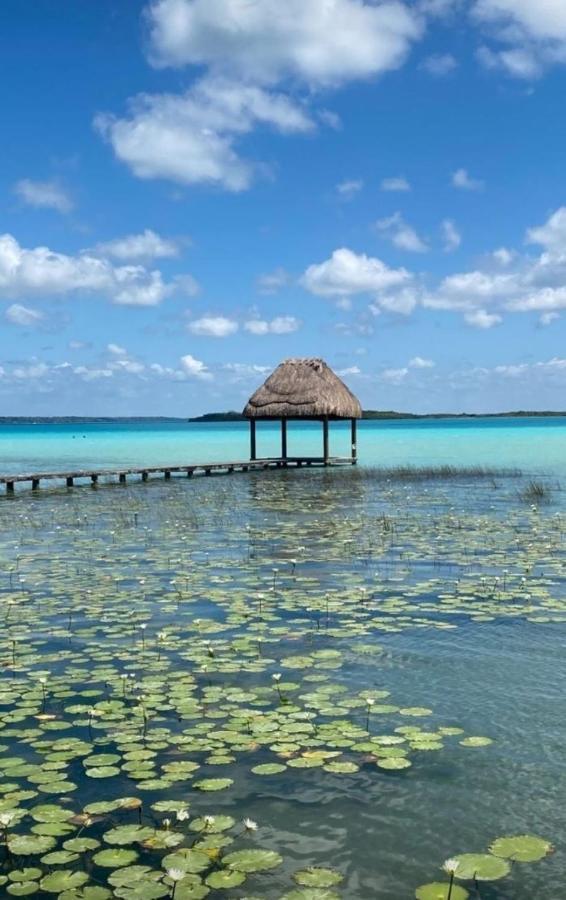 Muelle36 Hostel Bacalar Eksteriør bilde